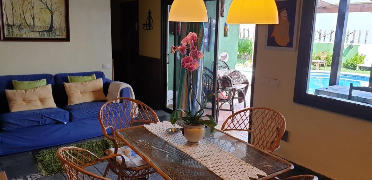 איקוד דה לוס וינוס Villa Cateyma Icod מראה חיצוני תמונה